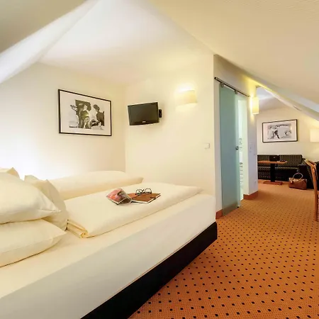 Mercure Altstadt Hotel 3*