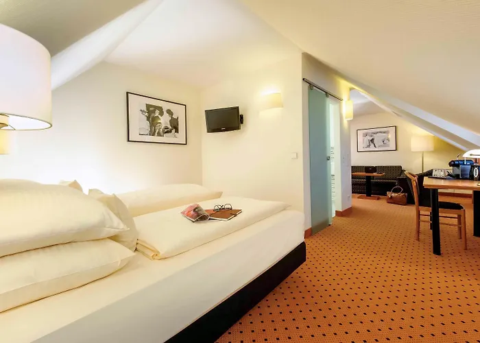 メルキュール アルトシュタット ホテル 3*