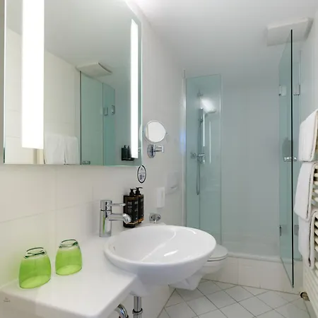 Mercure Altstadt Hotel 3*